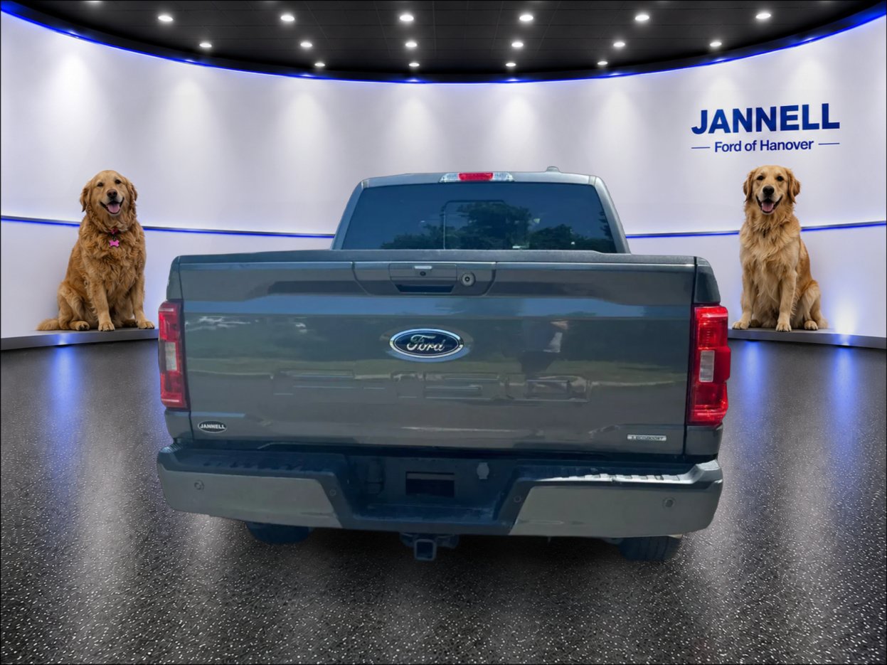 Used 2023 Ford F150 XLT w/ Equipment Group 302A High AWD/4WD image 7