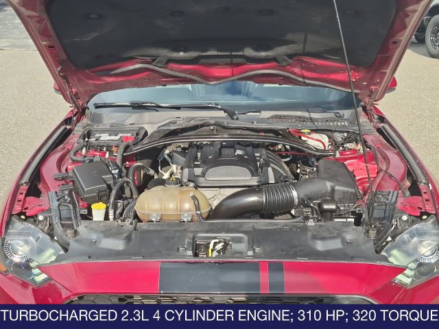Used 2019 Ford Mustang Premium w/ Ecoboost Performance Package RWD image 20