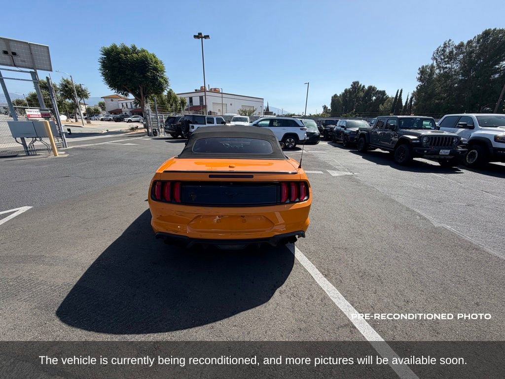 Used 2019 Ford Mustang Convertible w/ Equipment Group 101A RWD image 4
