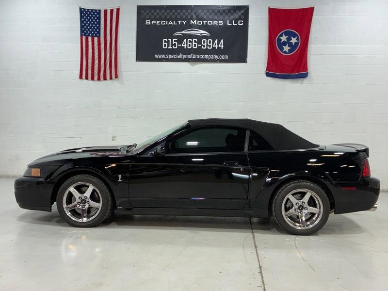 Used 2003 Ford Mustang Cobra RWD image 6