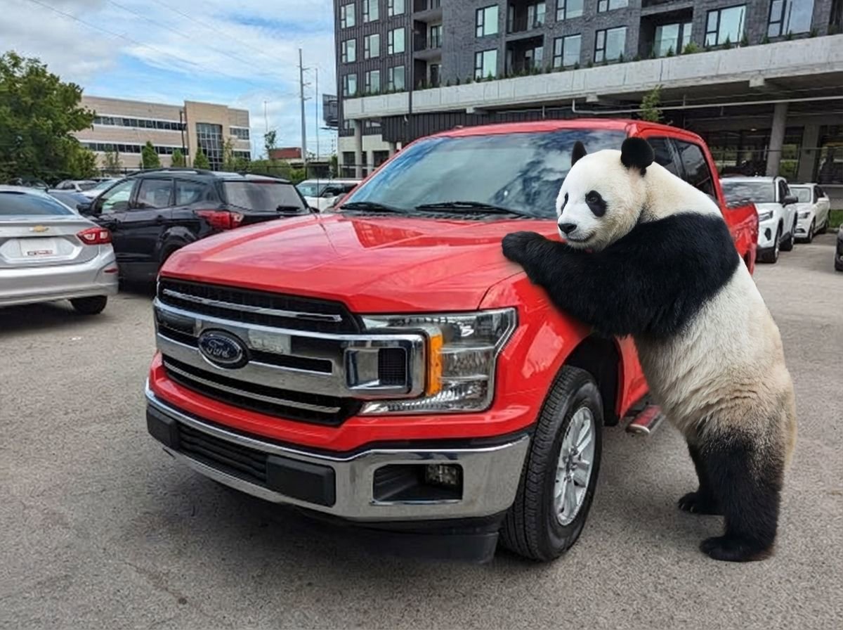 Used 2018 Ford F150 XLT RWD image 1
