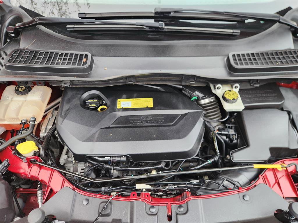 Used 2013 Ford Escape SE image 11