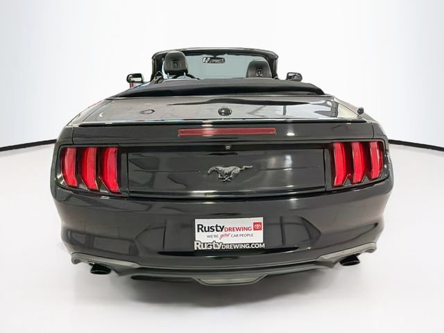 Used 2019 Ford Mustang Premium RWD image 5