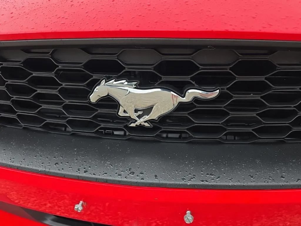 Used 2021 Ford Mustang Coupe RWD image 9