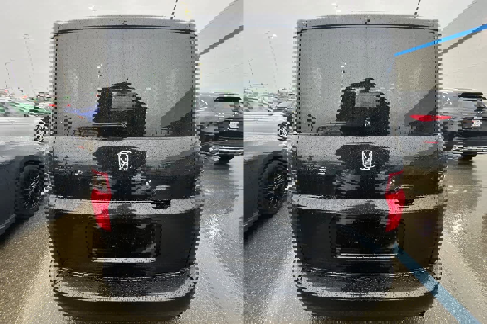 Used 2007 Honda Element SC image 5