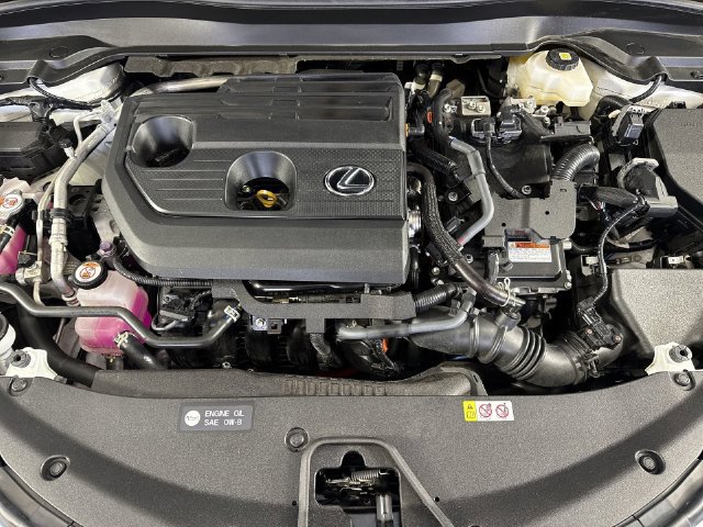 Certified 2025 Lexus UX 300h AWD w/ Cold Area Package image 30