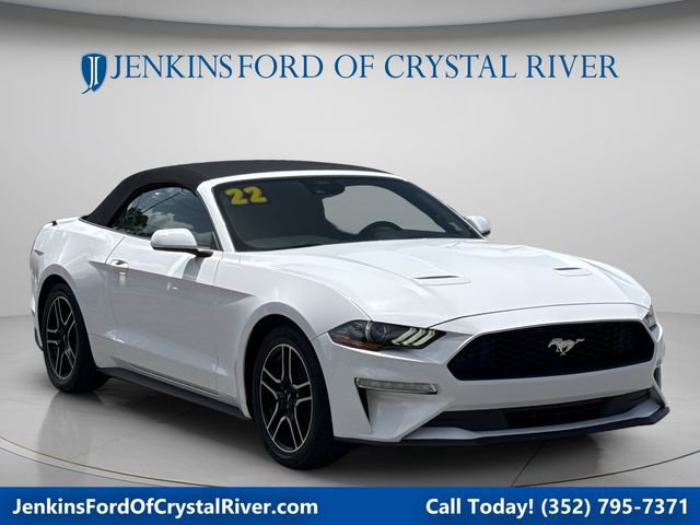 Certified 2022 Ford Mustang Premium RWD video 1