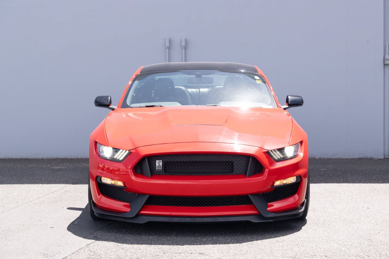 Used 2016 Ford Mustang Shelby GT350 w/ Technology Package RWD image 14
