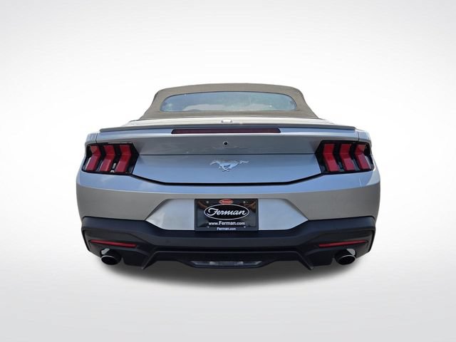 Used 2024 Ford Mustang Premium RWD image 8