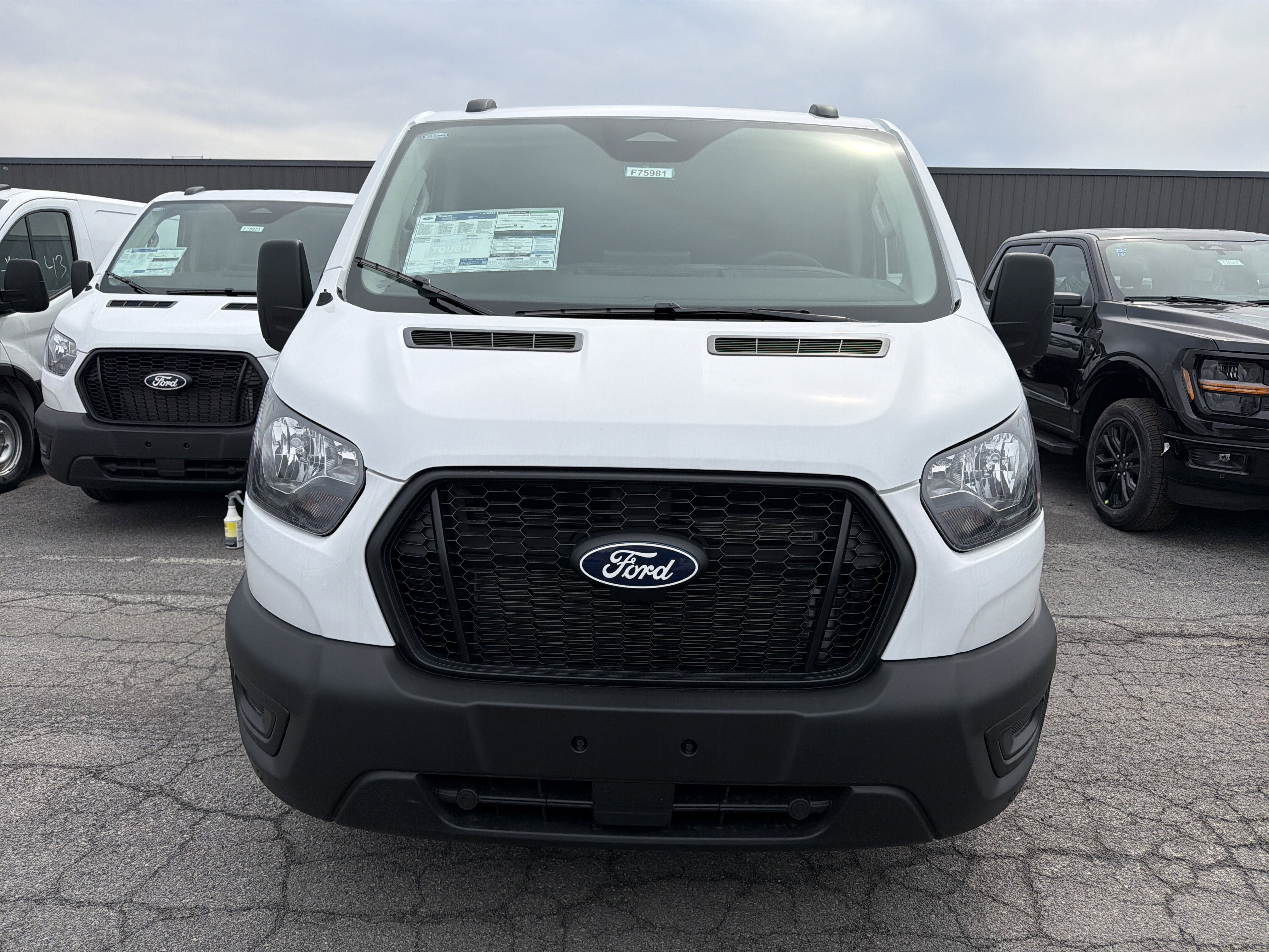 New 2026 Ford Transit 150 Low Roof RWD image 3