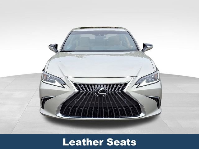 Used 2025 Lexus ES 300h w/ Premium Package image 3
