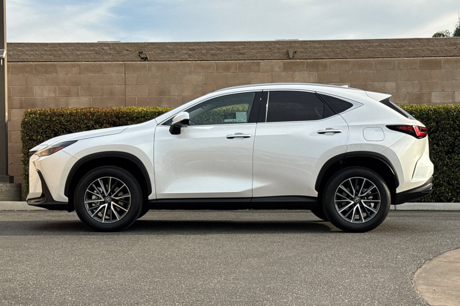 Certified 2024 Lexus NX 350h AWD image 7