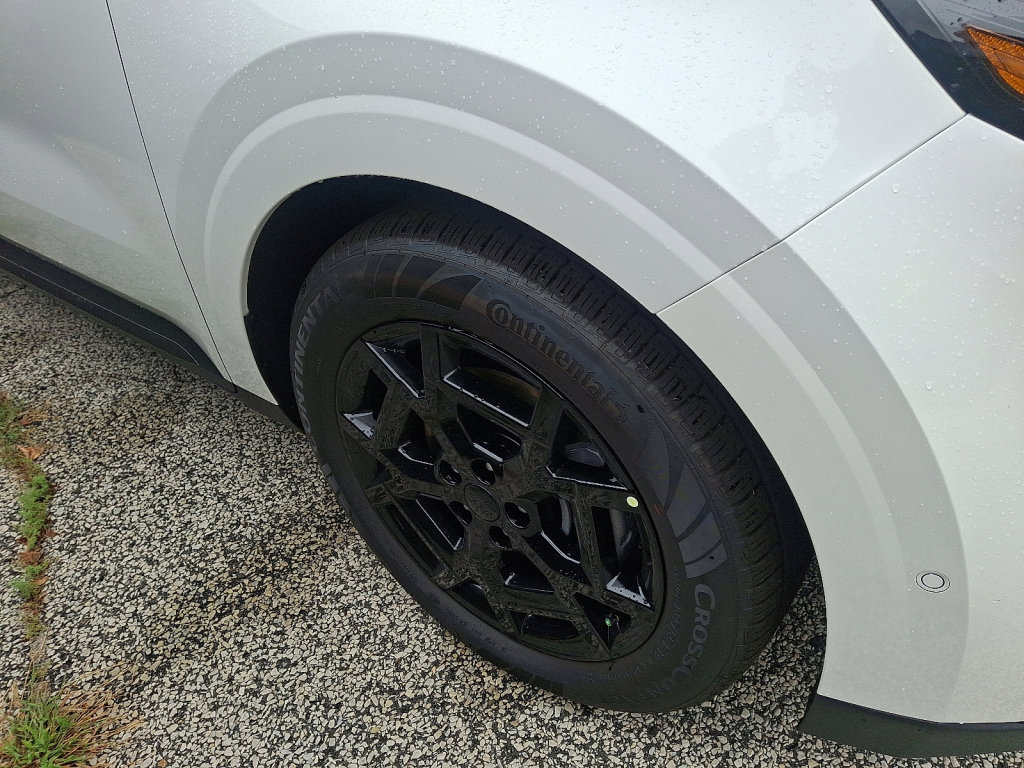 New 2026 Kia Carnival SX w/ SX Dark Edition Package image 4