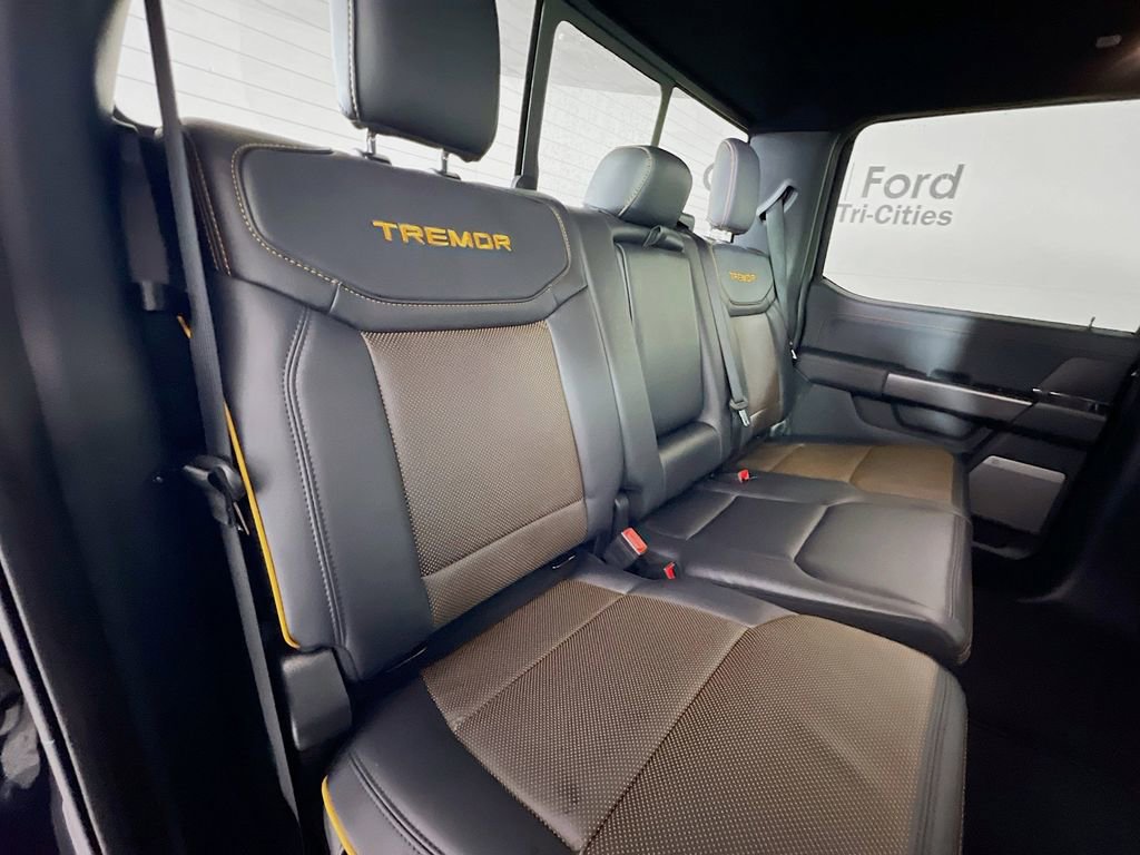 New 2026 Ford F150 Tremor image 16