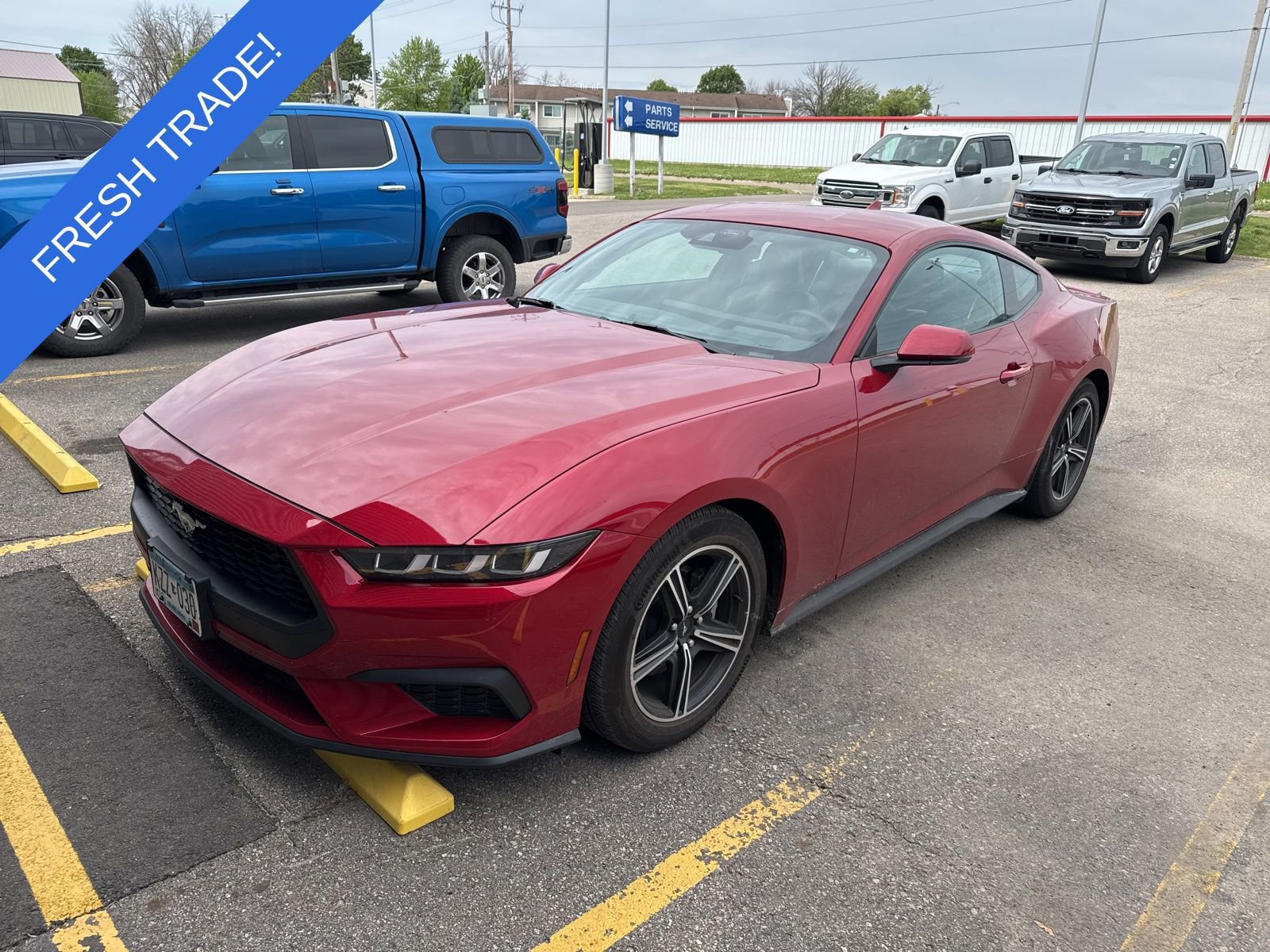 Used 2024 Ford Mustang Premium RWD image 1