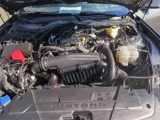 Used 2025 Ford Mustang Premium image 22