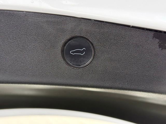 Used 2021 Tesla Model 3 Standard Range Plus RWD image 5