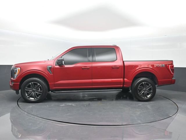 Used 2022 Ford F150 XLT w/ Equipment Group 302A High image 4