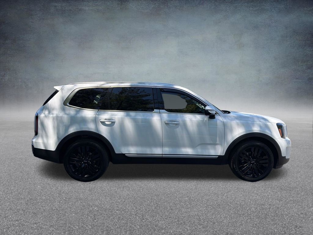 Used 2023 Kia Telluride SX Prestige AWD/4WD image 7