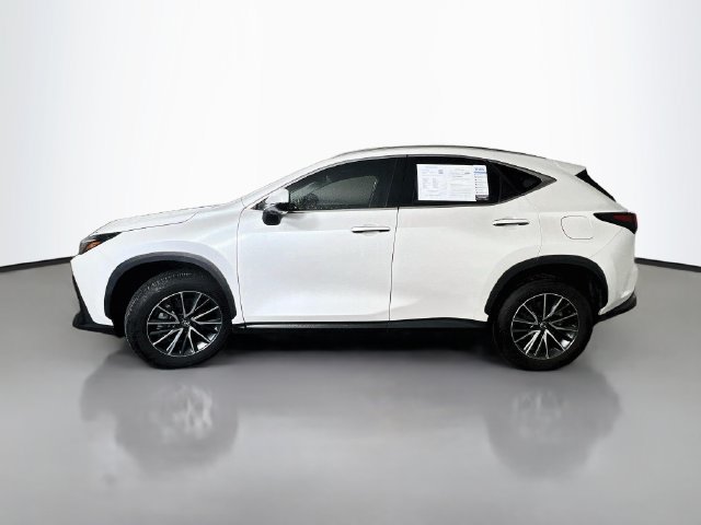 Used 2024 Lexus NX 350h AWD image 5