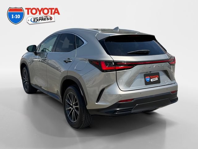 Used 2024 Lexus NX 350 AWD w/ Premium Package image 3
