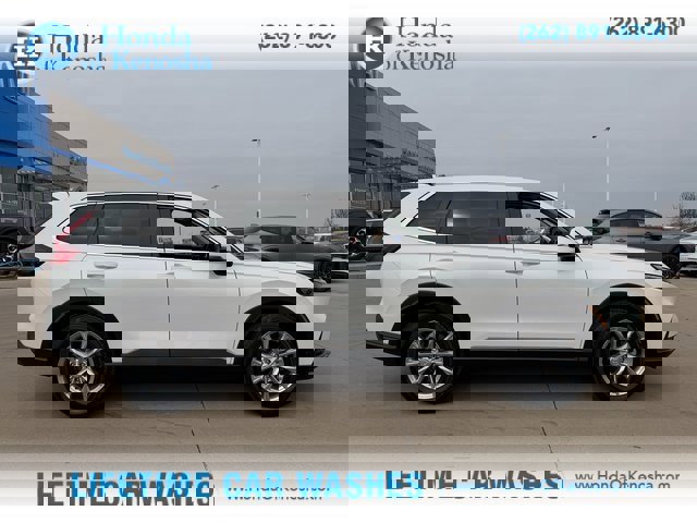 Used 2025 Honda CR-V EX-L image 9