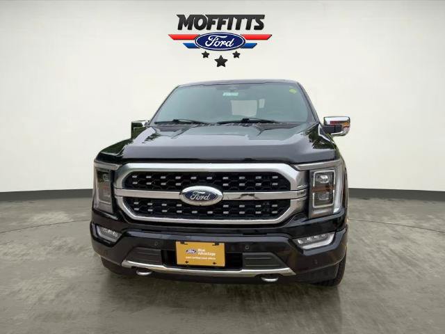 Certified 2023 Ford F150 Platinum w/ Equipment Group 701A High AWD/4WD image 8