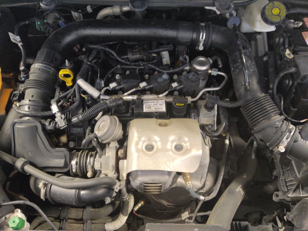 Used 2019 Ford EcoSport SE FWD image 30