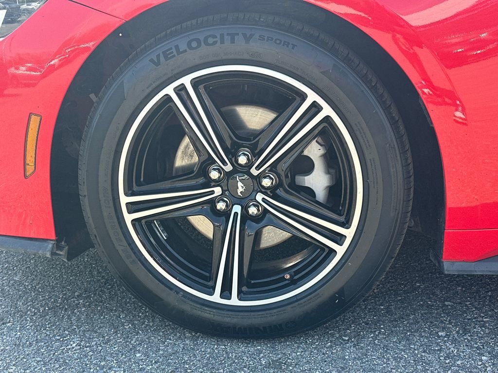 Used 2024 Ford Mustang Premium image 11