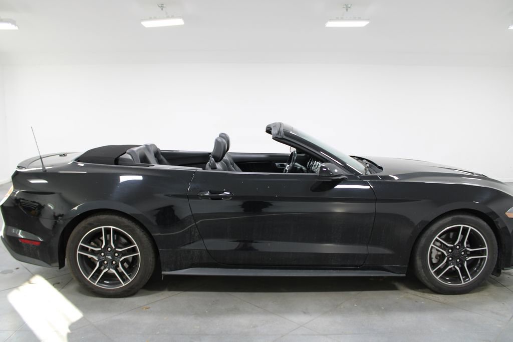 Used 2023 Ford Mustang Premium image 12