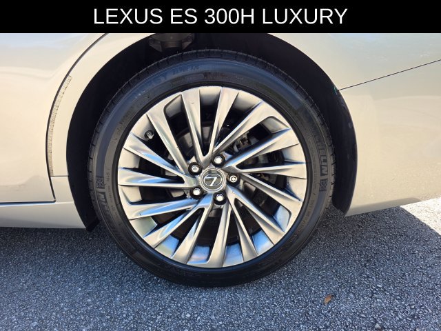 Used 2019 Lexus ES 300h w/ Accessory Package 2 FWD image 15