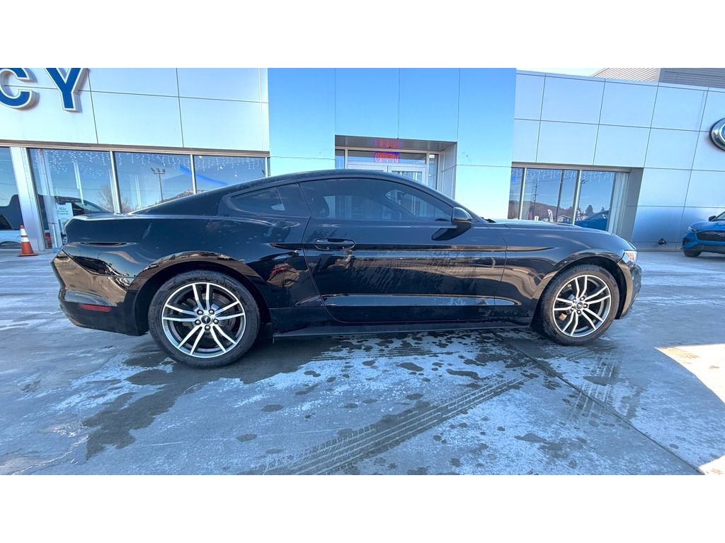 Used 2016 Ford Mustang EcoBoost image 8