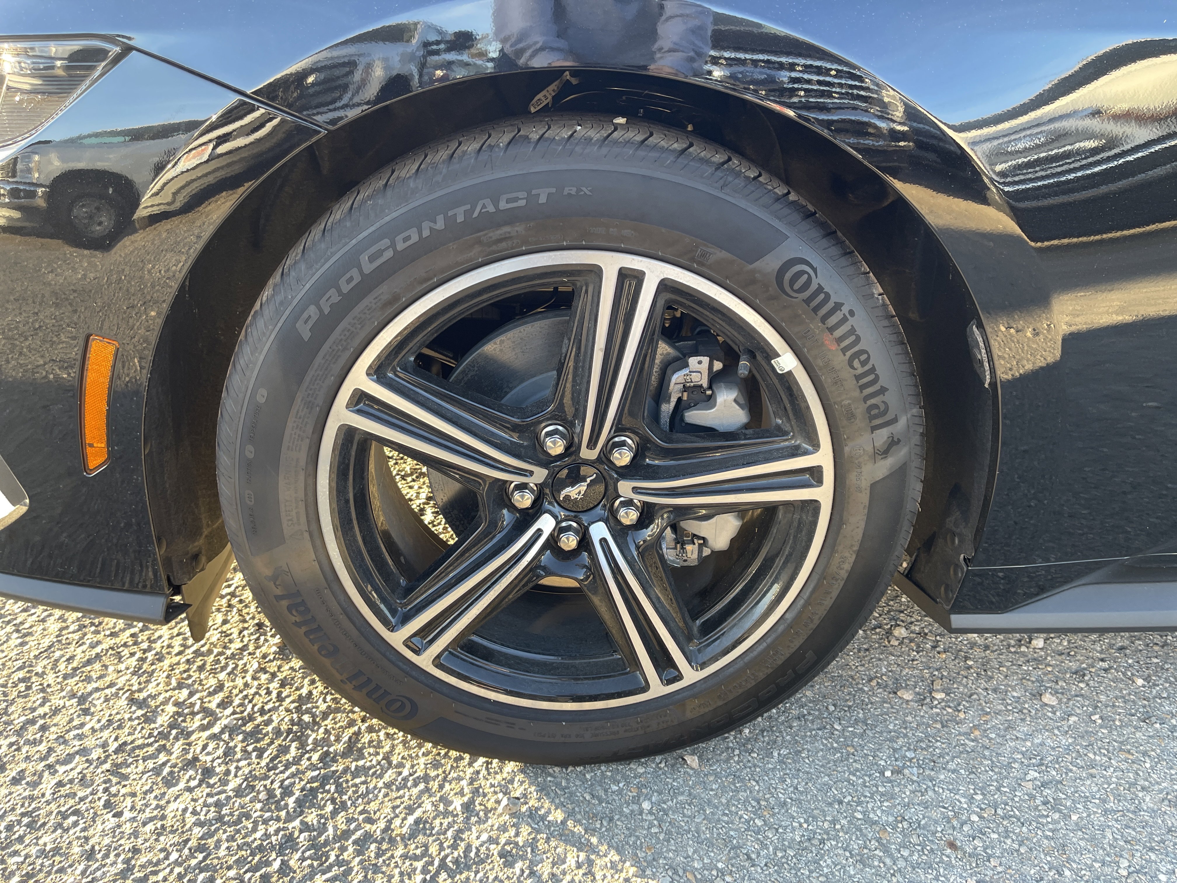 New 2025 Ford Mustang Coupe image 11