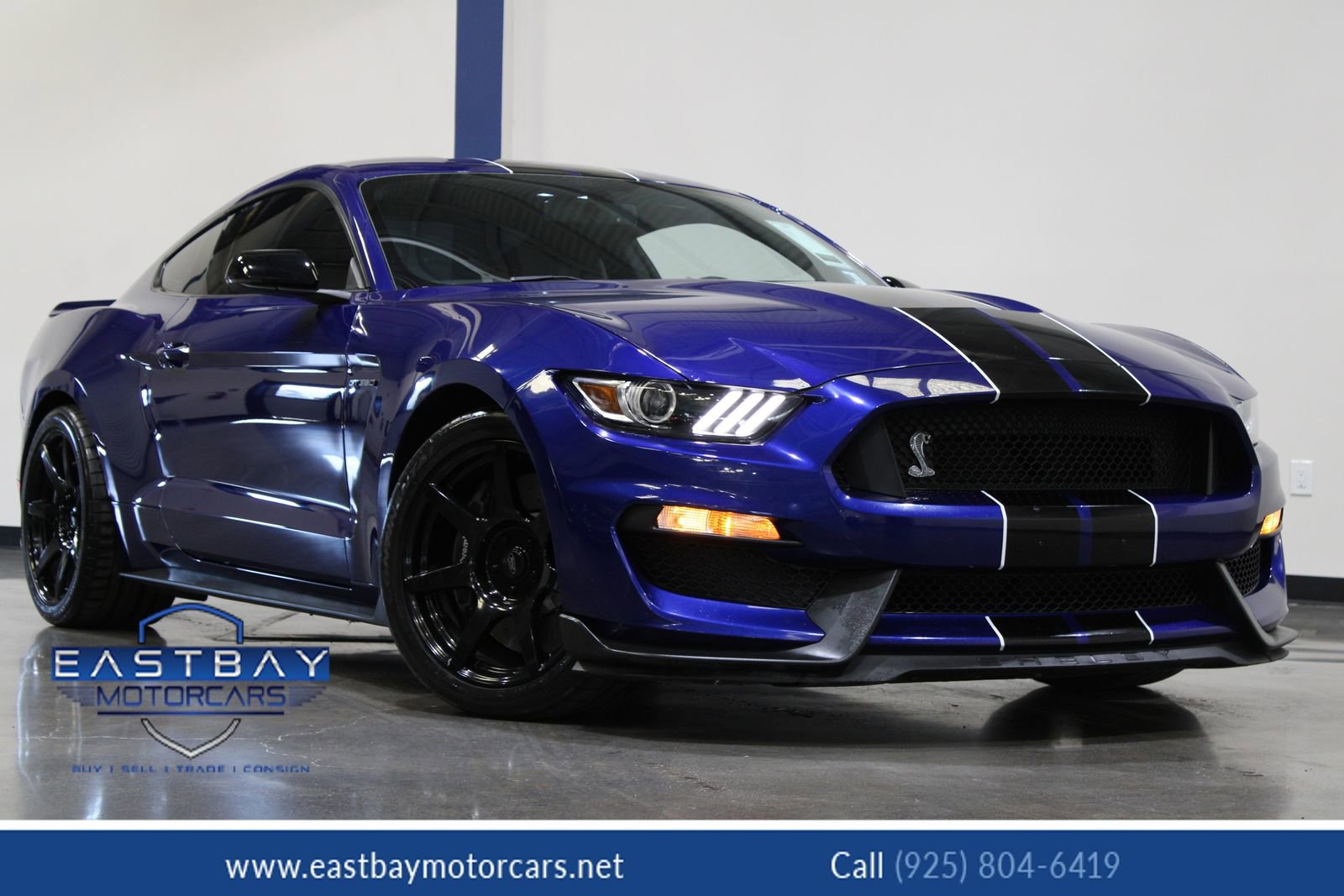 Used 2016 Ford Mustang Shelby GT350 w/ Technology Package image 1