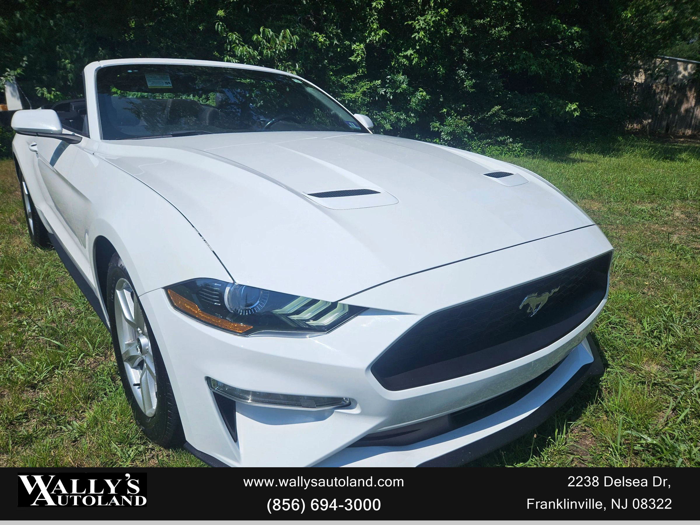 Used 2019 Ford Mustang Convertible