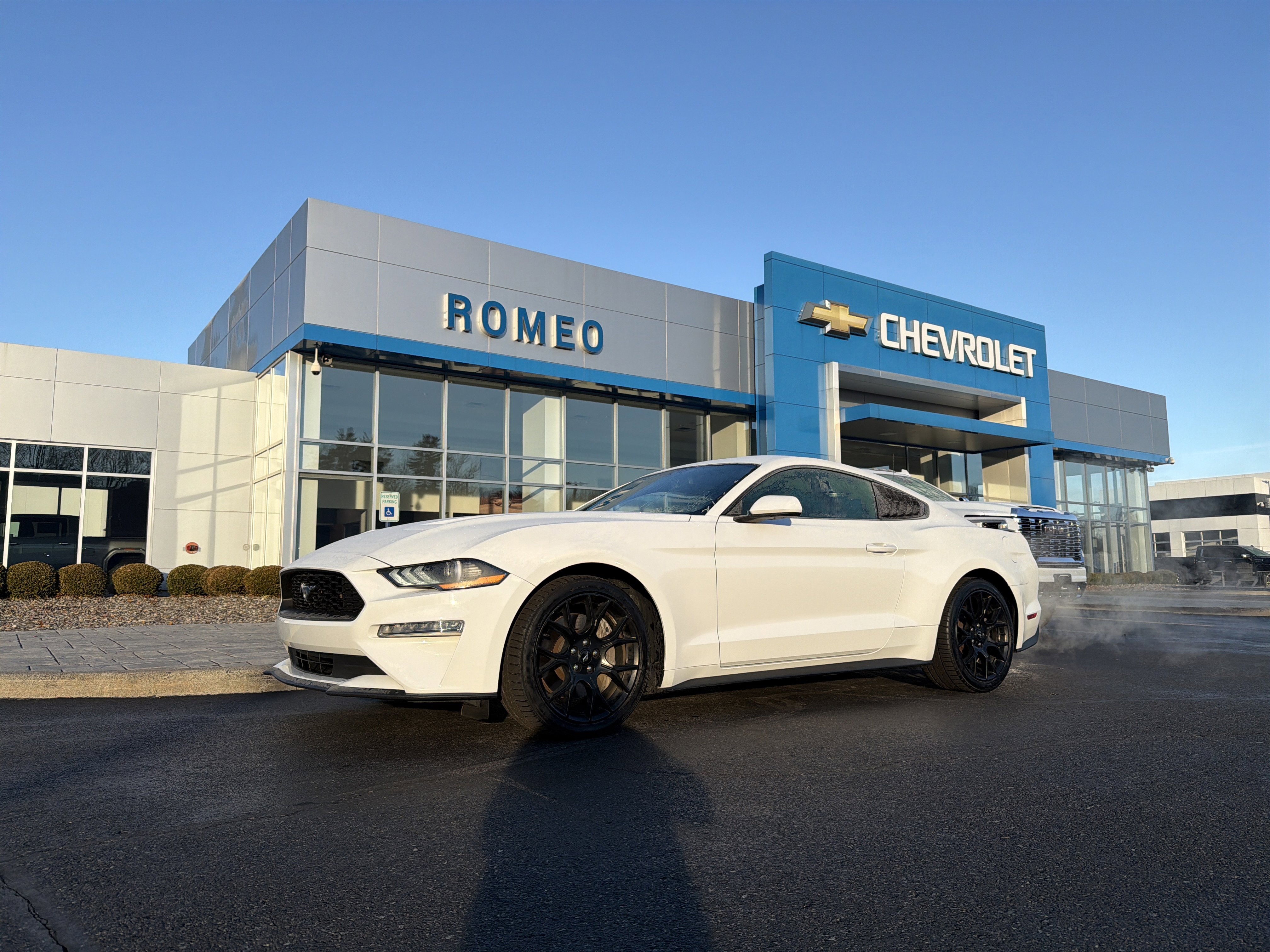 Used 2019 Ford Mustang Coupe w/ Ecoboost Performance Package