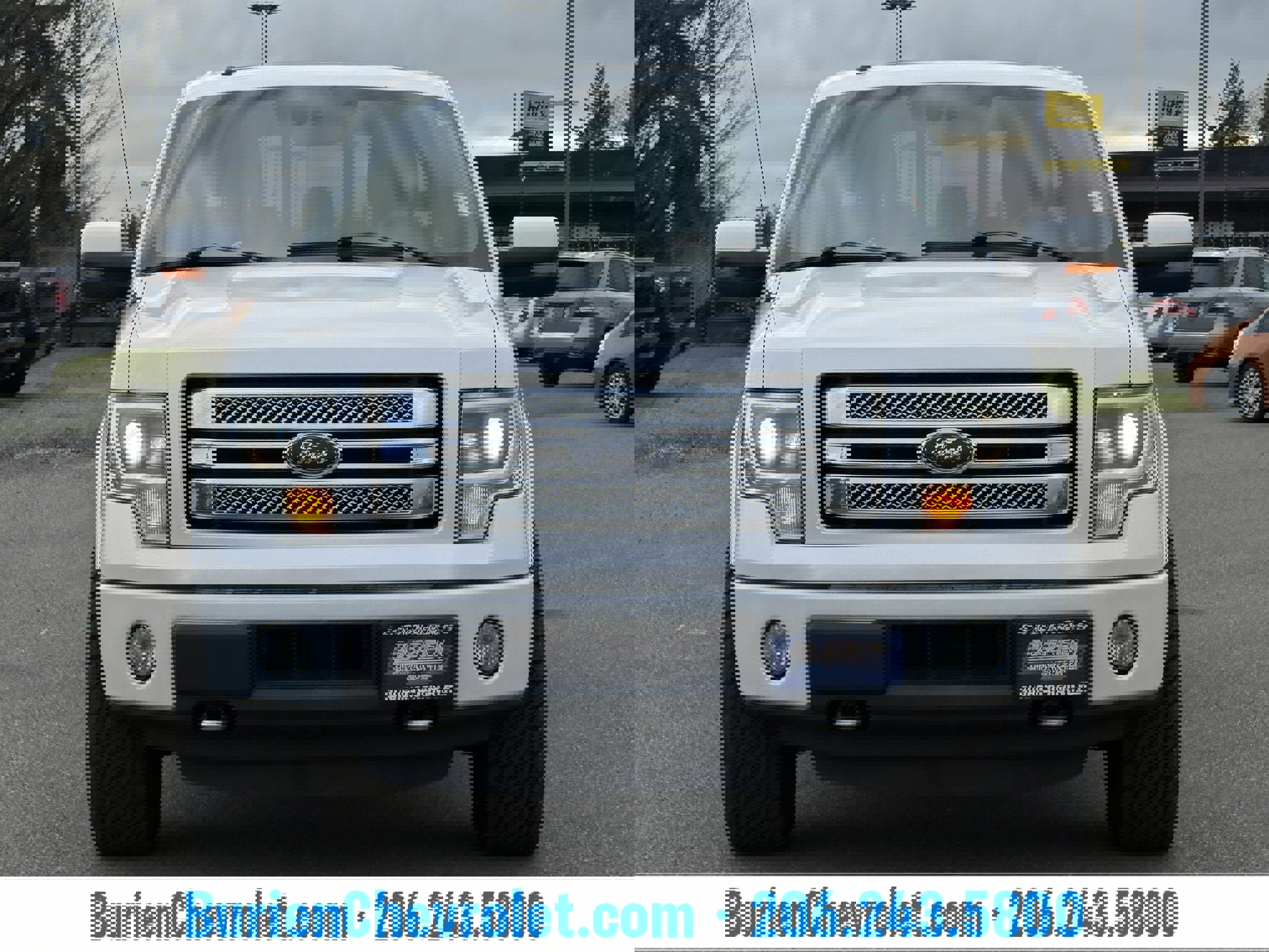 Used 2014 Ford F150 Limited image 8