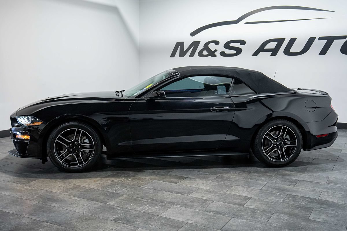 Used 2023 Ford Mustang Premium RWD image 4