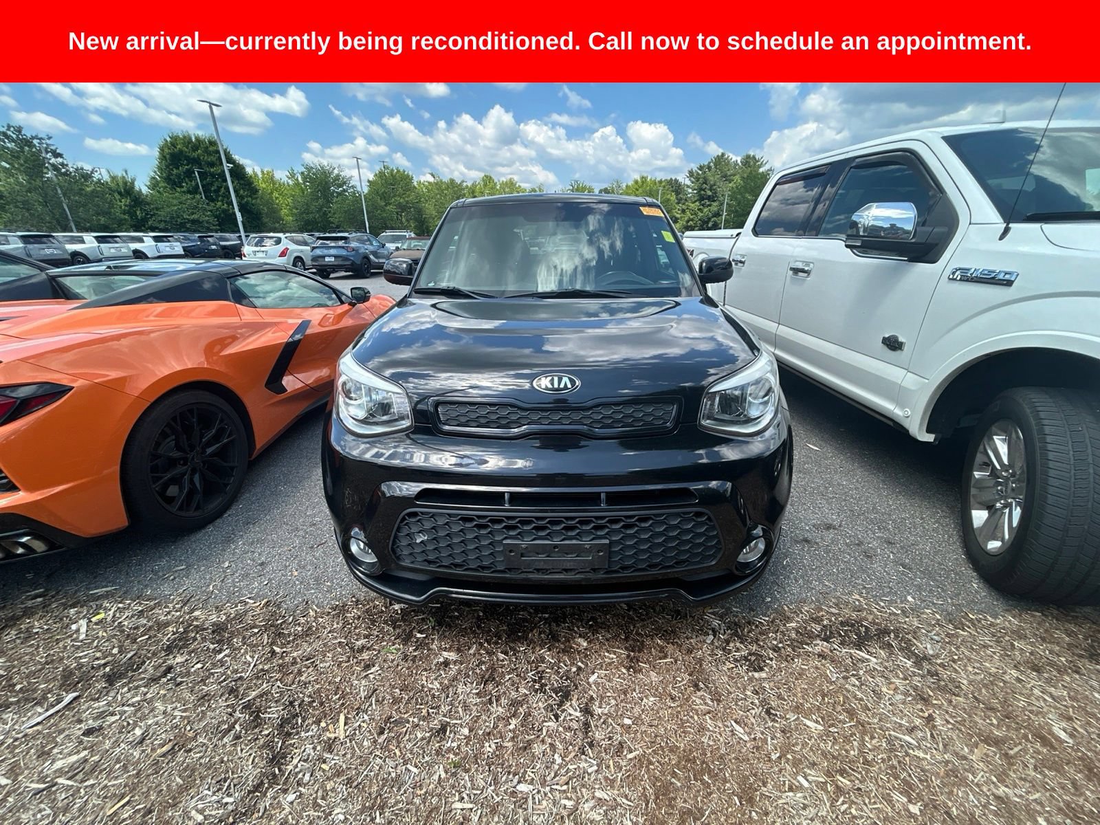 Used 2016 Kia Soul + w/ Tarmac Special Edition FWD image 1
