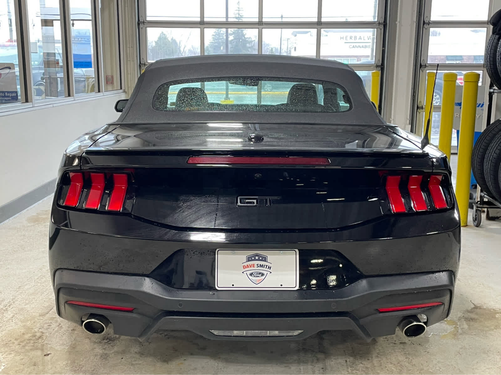 Used 2025 Ford Mustang GT Premium w/ Mustang Nite Pony Package image 3