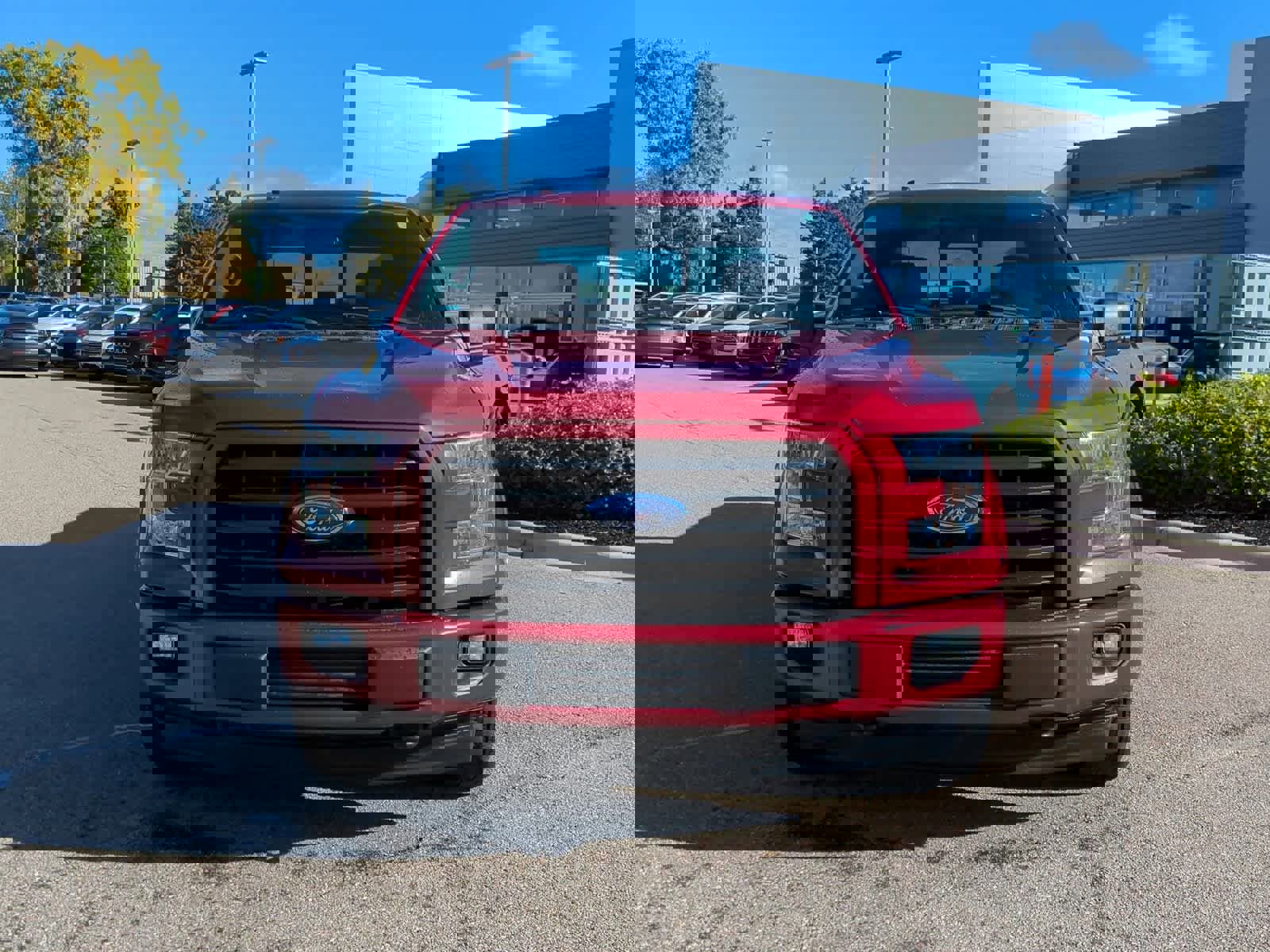 Used 2017 Ford F150 XLT w/ Equipment Group 302A Luxury image 3