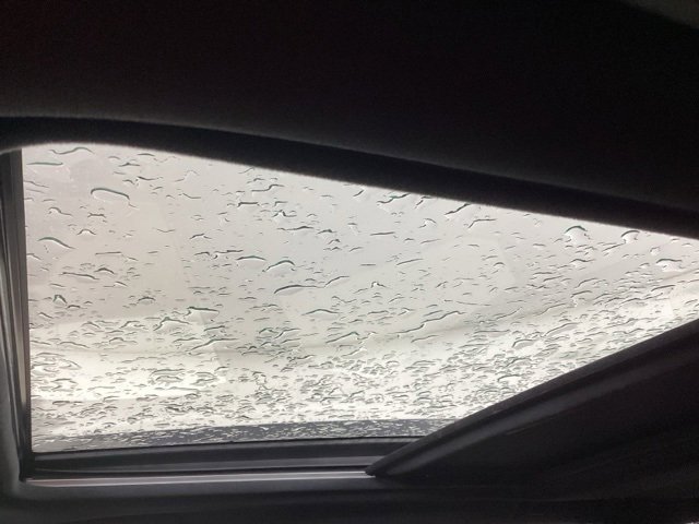 Certified 2025 Subaru Forester Limited image 13