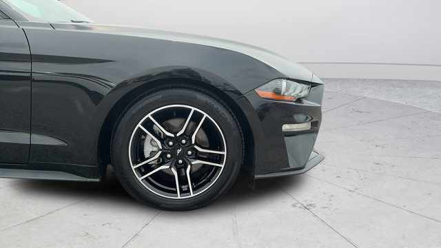 Used 2022 Ford Mustang Premium RWD image 26