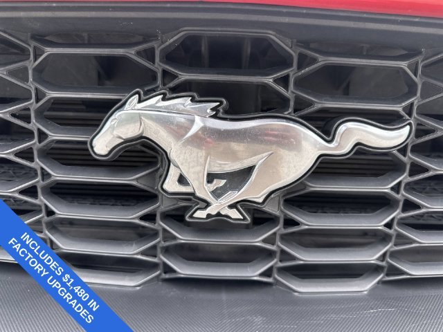 Used 2024 Ford Mustang Premium w/ Wheel & Stripe Package RWD image 10