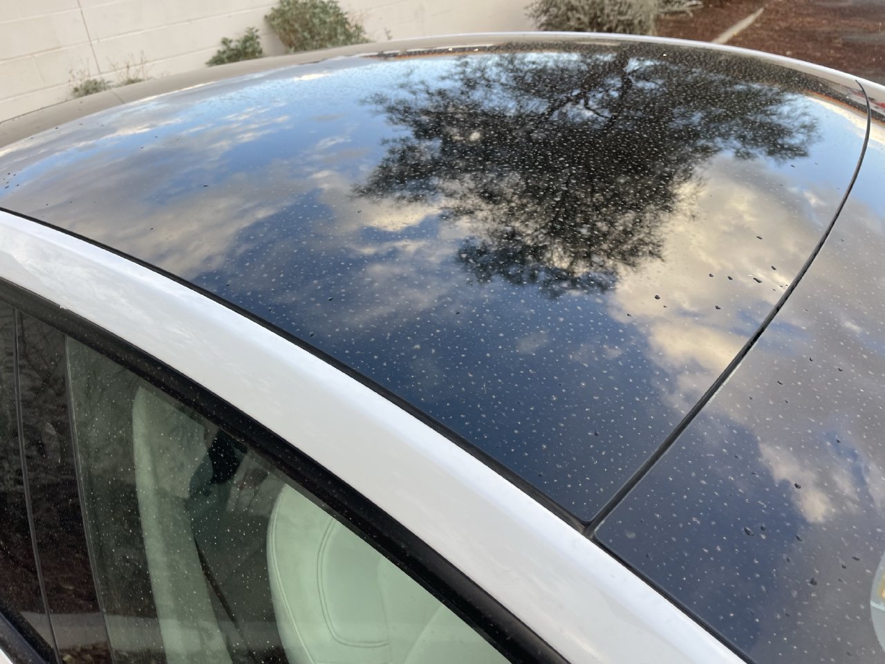 Used 2024 Tesla Model Y Long Range AWD/4WD image 4