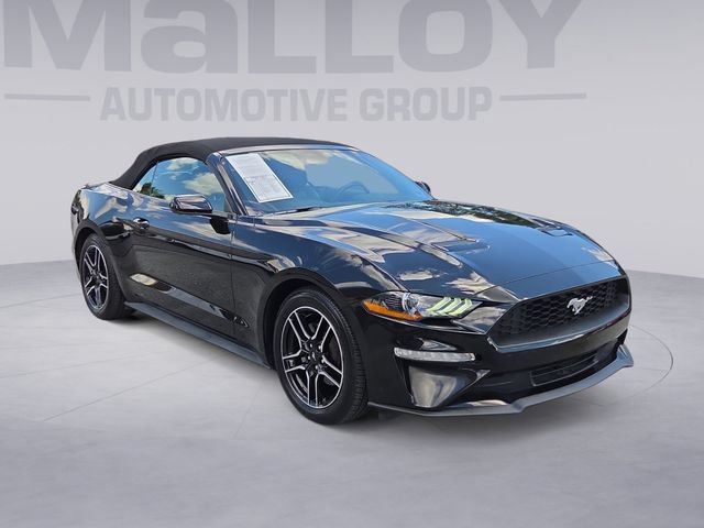 Used 2023 Ford Mustang Premium RWD image 7