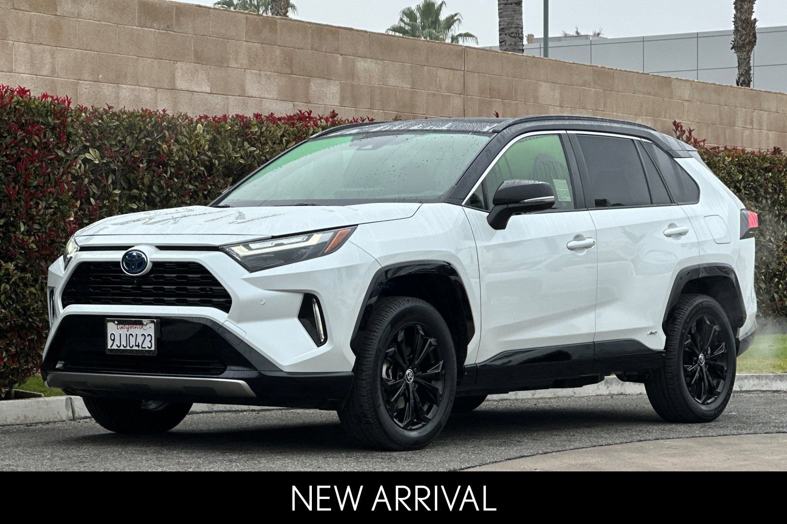 Used 2023 Toyota RAV4 XSE image 8