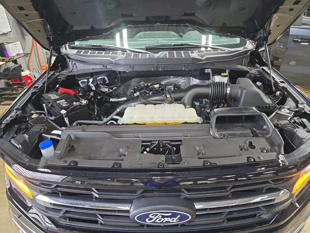 Used 2024 Ford F150 XLT w/ Equipment Group 302A MID image 33