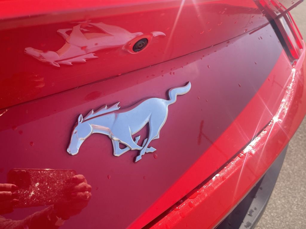 Used 2025 Ford Mustang Premium image 12