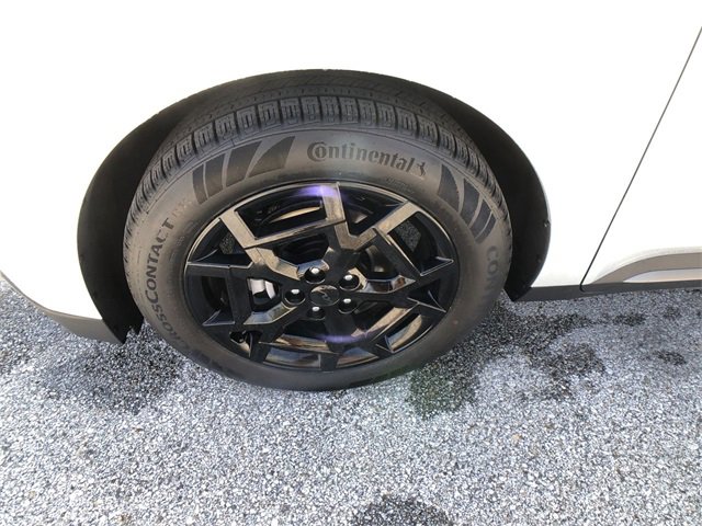 New 2026 Kia Carnival SX image 10